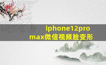 iphone12pro max微信视频脸变形